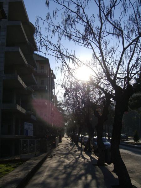 CIMG6915.JPG